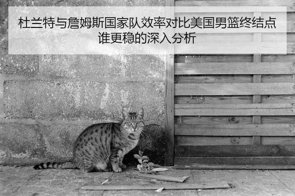 杜兰特与詹姆斯国家队效率对比美国男篮终结点谁更稳的深入分析