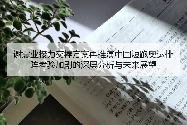 谢震业接力交棒方案再推演中国短跑奥运排阵考验加剧的深层分析与未来展望