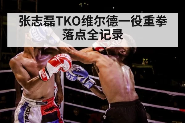 张志磊TKO维尔德一役重拳落点全记录